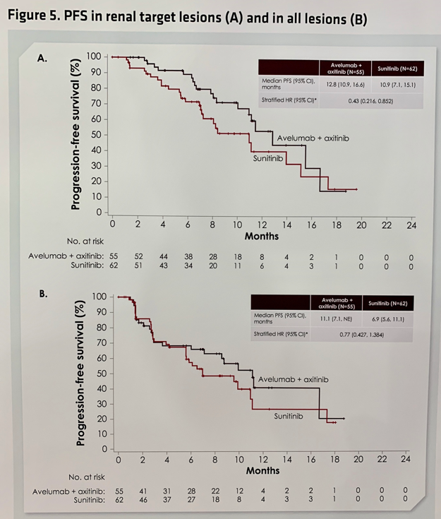ESMO2019_JAVELIN_Figure5.png