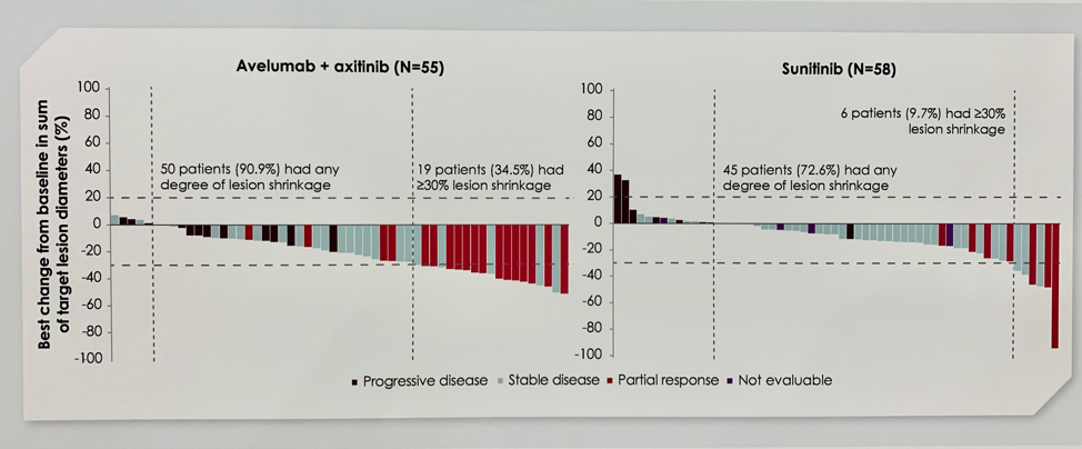 ESMO2019_JAVELIN_picture2.png