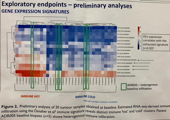 ESMO2019_endpoints.png