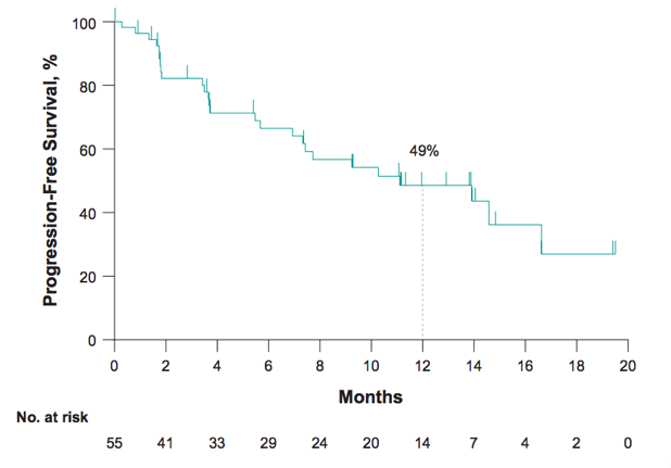 ESMO2019_median_PFS.png