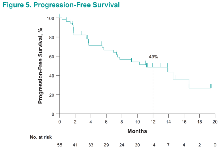 Figure5PFS_ESMO2019.png